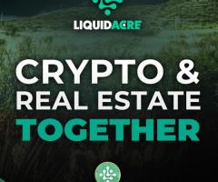 Exploring the Potential of Crypto Backed by Real-world Assets