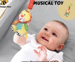 Buy musical toys Online in India at Lil Amigos Nest