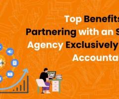 Benefits of Partnering with an SEO Agency Exclusively for Accountants