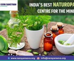 Get Free Naturopathy Treatment at Narayan Seva Sansthan's Naturopathy Center