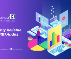 Looking for Reliable 403(B) Audit Services – HCLLP