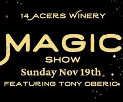 Mesmerizing Magic Show at 14 Acres Winery