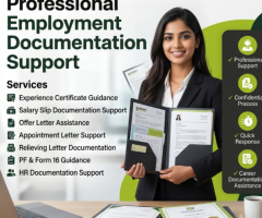 Experience Certificate Provider in India | Professional Support