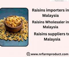 Malaysia's Premier Raisin Importers and Wholesalers