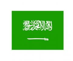 Saudi Arabia Visa-Free: Entry Details & Benefits