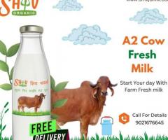 Pure & Fresh A2 Gir Cow Milk Best Price In Nagpur