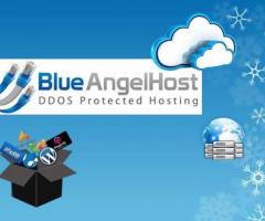 What is the best offshore hosting provider