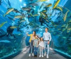 Dubai Aquarium – Dubai Mall Aquarium and Underwater Zoo Tickets