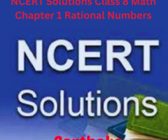 NCERT Solutions Class 8 Math Chapter 1 Rational Numbers