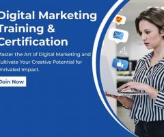 KVCH Institute's Digital Marketing Training in Noida: The Perfect Starting Point for Beginners