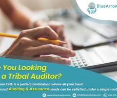 Expert Auditing Solutions for Tribal Governments