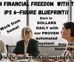 Want to work from home and earn in Dollars daily?