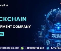 Build Web3 Solutions for the USA Economy with Blockchain Development