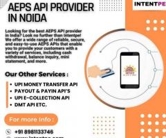 AEPS API Provider in Noida