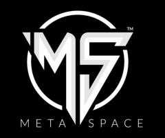 MetaSpace welcomes you to enter its metaverse