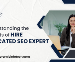 Hire Dedicated SEO Expert in USA with Panoramic Infotech