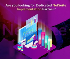 OpenTeQ is a Netsuite Developer company|Best NetSuite integration company