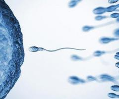 Book Free Consultation Now - Free Couple Fertility Checkup.