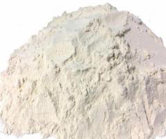 Mastering Anti Moisture Powder in Udaipur