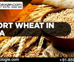 Import Wheat in India