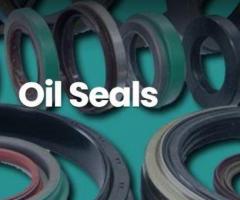 A2ZSeals - High-Quality Oil Seal for Industrial Applications