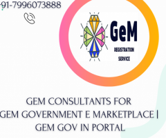 New Gem Portal Registration Services with Gemconsultingonline