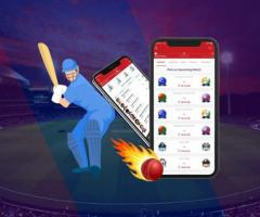 Fantasy Cricket App Development Company - 1