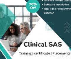 Clinical SAS training and placements with certificate