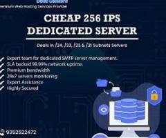 Get Cheap 256 ips dedicated server at Low Price