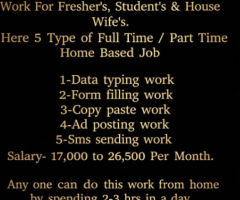 Full Time Part Time Home Based Data Entry Work
