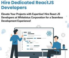 Hire Dedicated React Js Developer Colorado