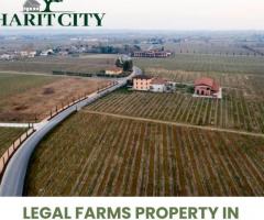 Legal Farms Property in Jewar Airport !  haritcity