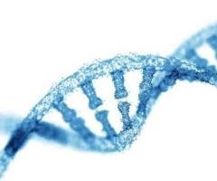 Whole Exome Sequencing Service provider
