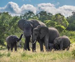Kruger lodge south africa | Kasi Africa Safari