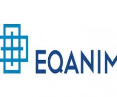 Leading the Way in Software Testing Services in India | Eqanim