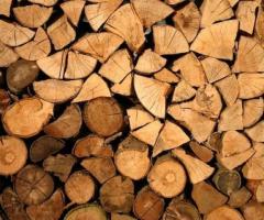 Experience Winter Bliss with Ottawa Firewood in Canada