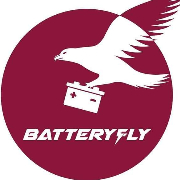 Batteryfly