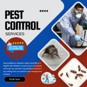 Same Day Pest Control