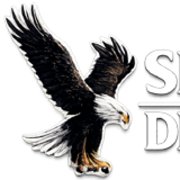 SR India Detectives