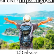 Flighys