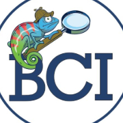 Blue Chameleon Investigations