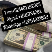 signalcontos