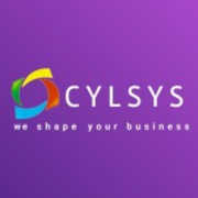 Cylsys Software Solution