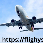 Flighys