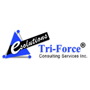 Tri-Force Consulting Services, Inc.