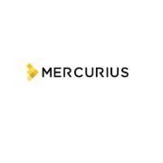 Mercurius & Associates LLP