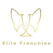 Elite Frenchies