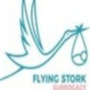 Flying stork surrogacy
